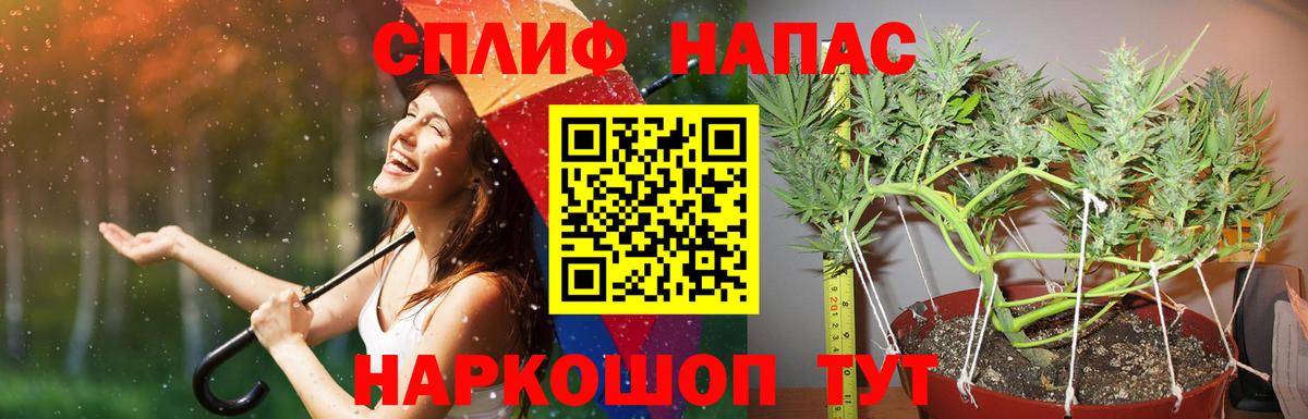 Бошки Шишки план Дубна